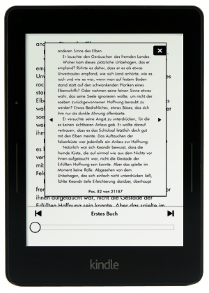 Kindle Voyage - PageFlip Funktion